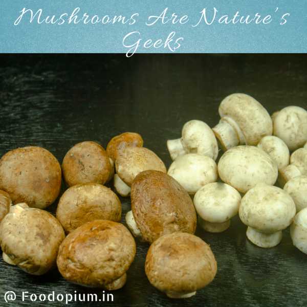 Mushrooms Are Nature’s Geeks - Food Opium
