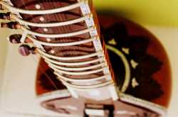 Music… Why Just Listen?