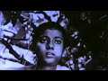Music Of Satyajit Ray - Documentary