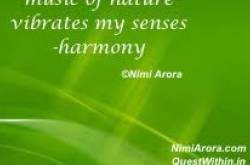 Music of nature - haiku