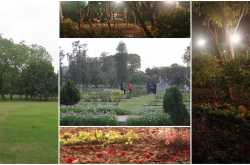 Musical Vibrations!!