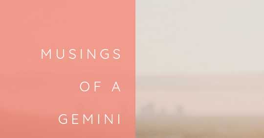 Musings Of A Gemini Lass (Sunshine And Wildflowers)