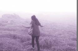 Musings of a Wanderer