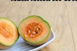 Musk Melon Ice Cream 