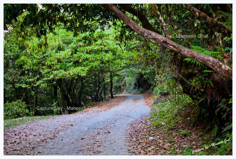 Mussoorie - Uttarakhand (April 2017) - Mybioscope