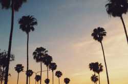 My Baby Steps towards a Healthy Lifestyle - TheMumStory