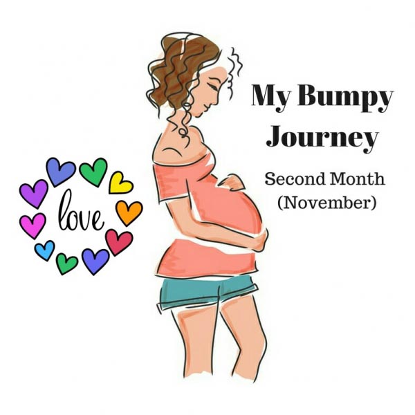 My Bumpy Journey - Second Month (November)