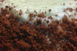 My Culinary Emotions