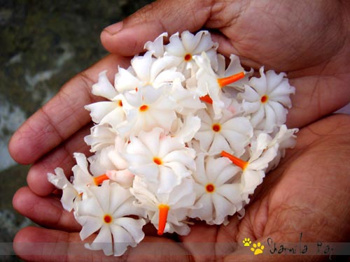 My Dear Baba …. Father !!