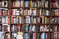 my enduring affair with books