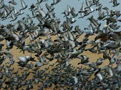 My Friendship: Before It