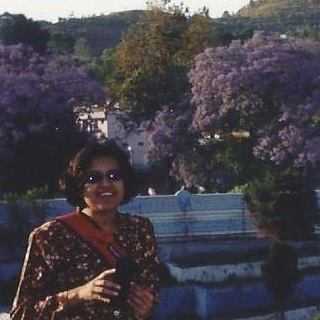 My Himalayan Summer Odyssey | Blog - Storizen