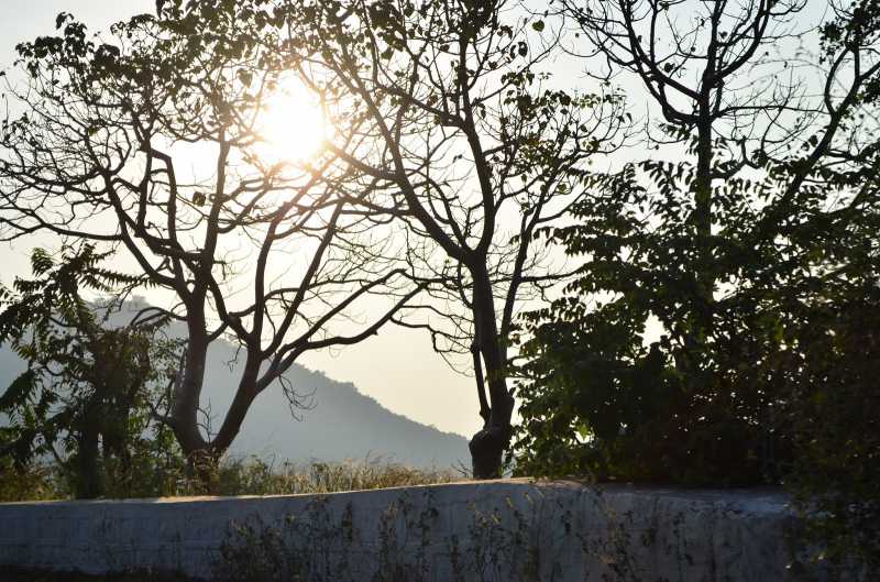 My Life My Way: Srisailam