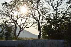 My Life My Way: Srisailam