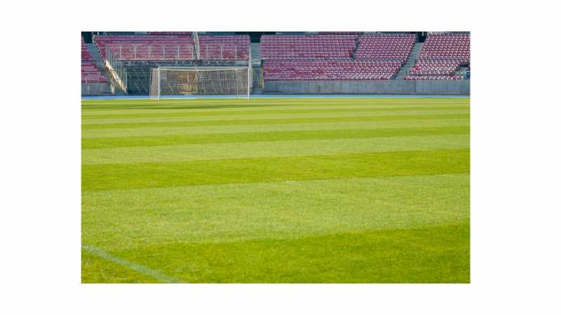 My Memories Of Football World Cup 