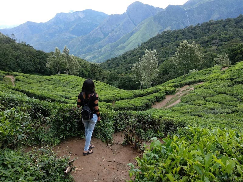 My Munnar Travel Diary | Munnar Trip In Photos (Indian Girl Backpacking Solo In Kerala)