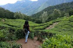 My Munnar travel diary | Munnar trip in photos (Indian girl backpacking solo in Kerala)