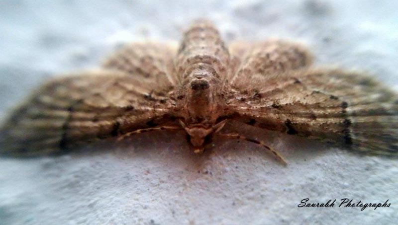 My New Year Buddies!!!