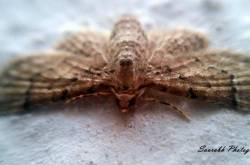 My New Year Buddies!!!