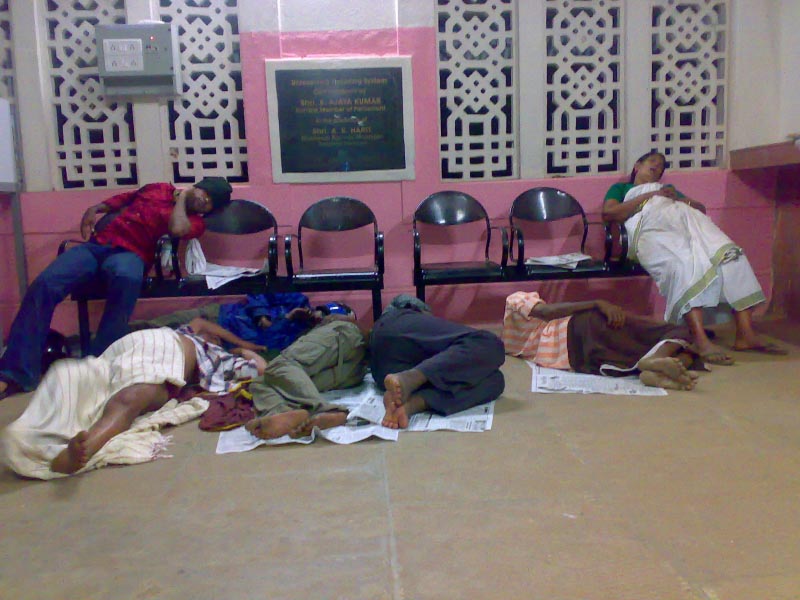 My New Year Companions