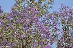 My Odd Pic: Hypnotised by Hypnotique