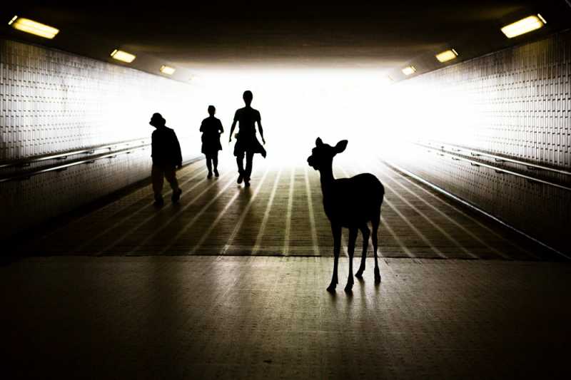 My Personal Best: Italian Street Photographer Andrea Rossi - 121Clicks.com