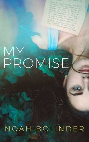 My Promise By Noah Bolinder #BookReview » Mojito With A Twist!