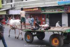 My Story For Photo-post Contest