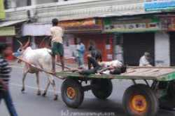 My Story for photo-post contest