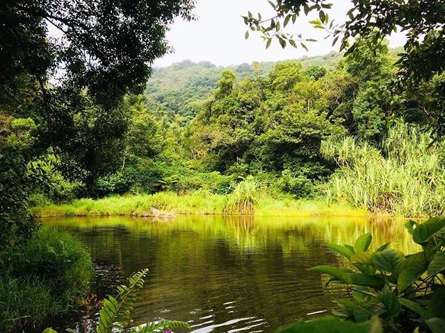 My Visit To The Coffee And Spice Town Sakleshpur - Homestay In Sakleshpur | Resorts In Sakleshpur | Coffee Estate