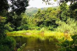 my visit to the coffee and spice town sakleshpur - homestay in sakleshpur | resorts in sakleshpur | coffee estate