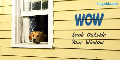 My ‘Window With A (Green) View’!