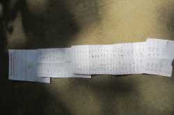 My big fat Mungeli birthday