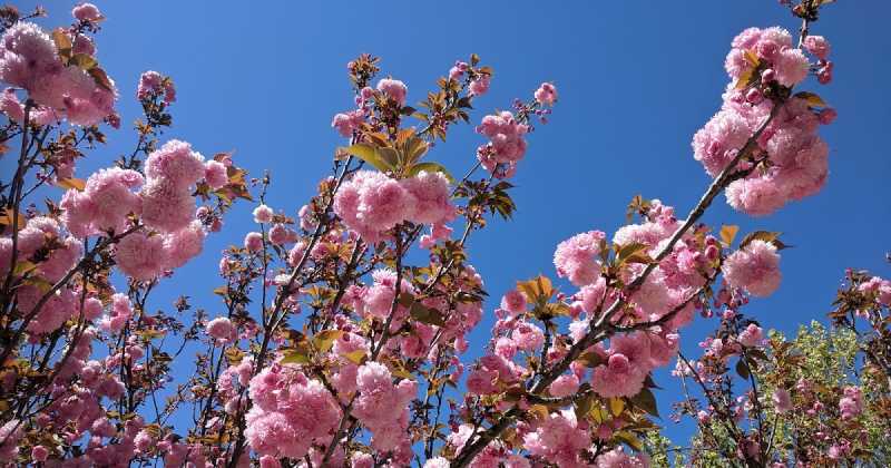 My Experiments With Living In The Moment, One Day At A Time