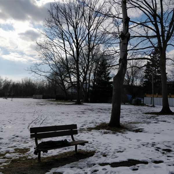 My First February In Toronto