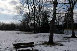 My first February in Toronto