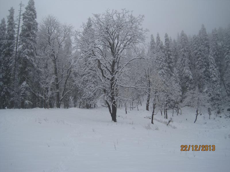 My First Encounter With Snow - Kedarkantha Trek