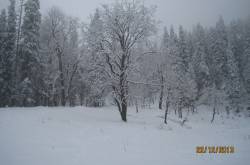 My first encounter with snow - Kedarkantha trek