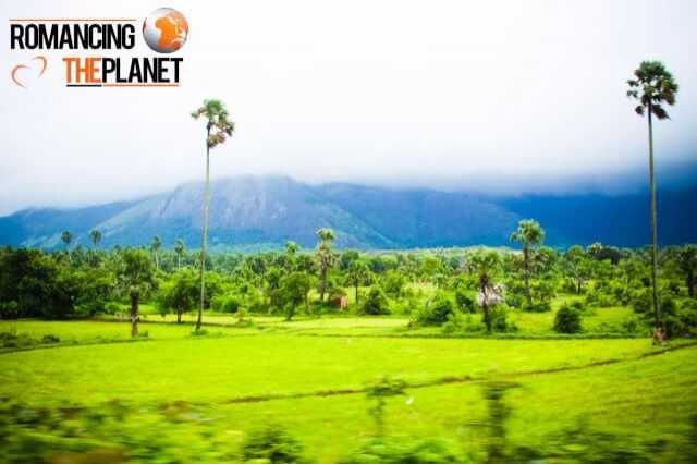 My First Impressions Of Kerala And My First Day In Kerala