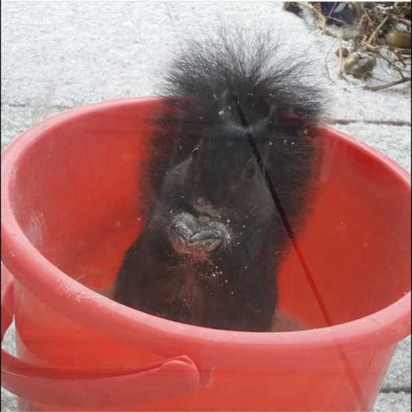 My Friend Is Back….