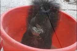 My friend is back….