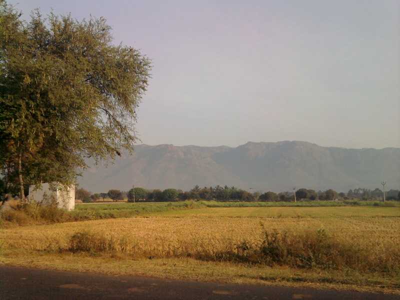 My Longest Bike Ride!