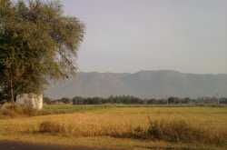 My longest bike ride!