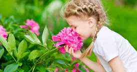 My Meditations Turn Fragrant