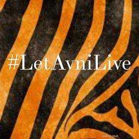 My Name Was Avni And I Was Not A Man-Eater