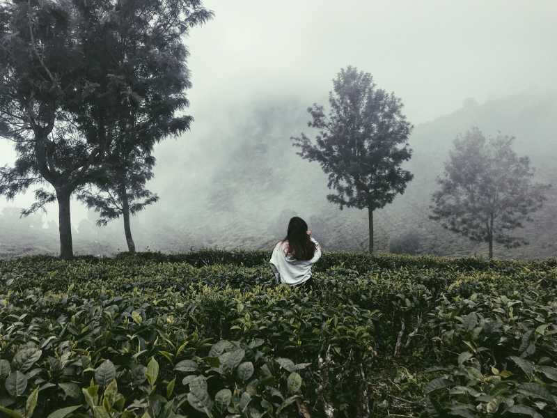 My Offbeat Ooty Travel Diary With Sterling Holidays | Hues Of Me