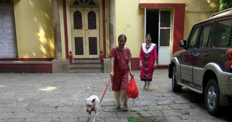 My Prayers Were Heard!