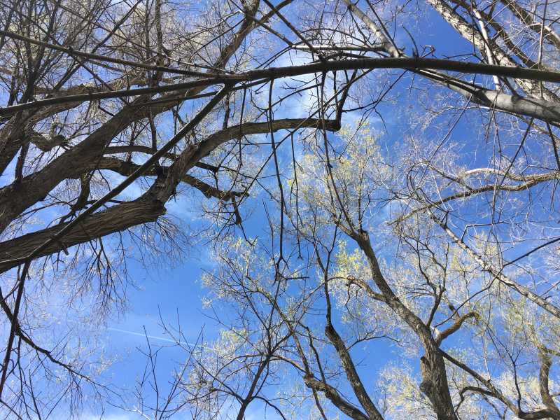 My Questions To The Universe 