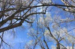 My questions to the Universe 