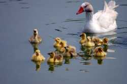 My thoughts on Leadership